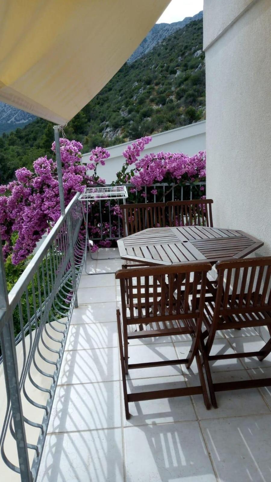 Apartments Villa Vida Orebić Zewnętrze zdjęcie